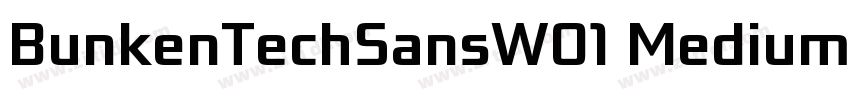 BunkenTechSansW01 MediumIt字体转换 BunkenTechSansW01 MediumIt字体转换